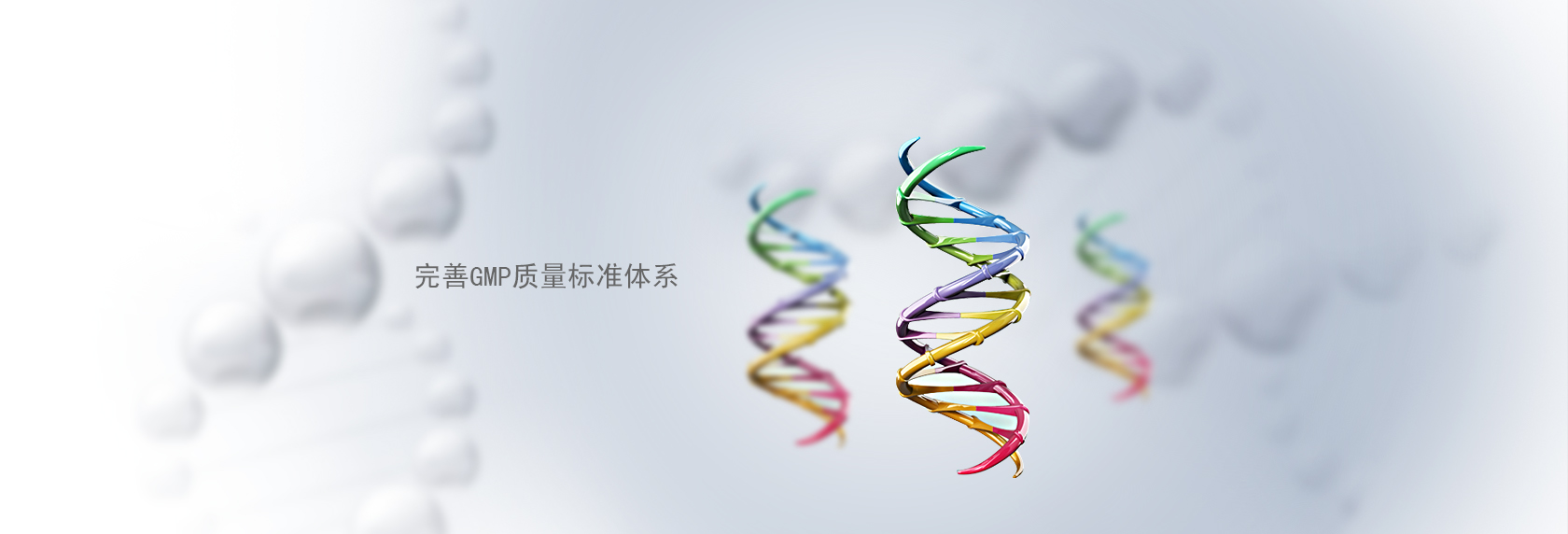 公司位于陜甘寧內蒙四省交接處，地理位置優越，擁有現代化的酸奶及含乳飲料生產線以及現代化的歐美標準示范牧場。